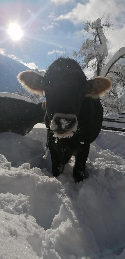 Bauernhof Gfraser ザーファウス エクステリア 写真