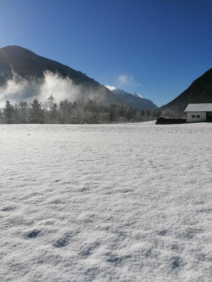 Bauernhof Gfraser ザーファウス エクステリア 写真